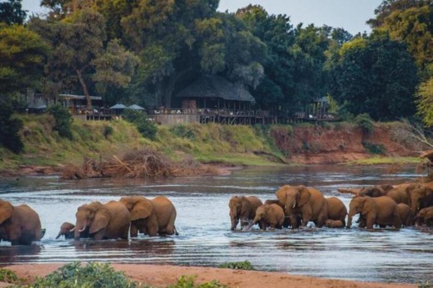 Pafuri Luxury Tented Camp - Kruger National Park Package (2 Nights)