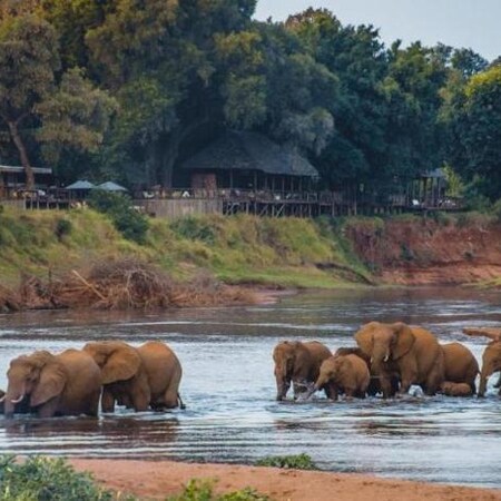 Pafuri Luxury Tented Camp - Kruger National Park Package (2 Nights)