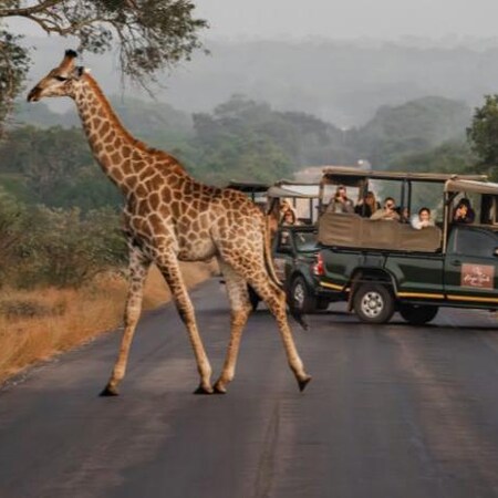 4* Kruger Gate Hotel - Kruger National Park Family Package (3 Nights)