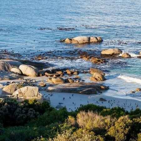 5* Tintswalo Boulders - Simon's Town Package