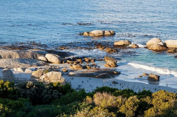 5* Tintswalo Boulders - Simon's Town Package