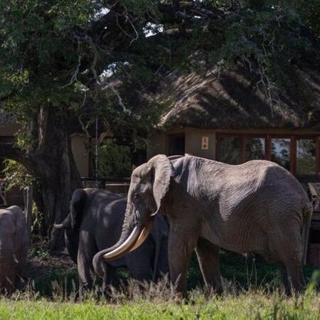 5* Tintswalo Safari - Kruger National Park Package (2 Nights)