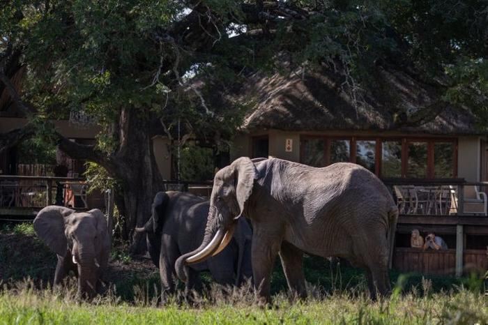 5* Tintswalo Safari Lodge - Kruger National Park Package (2 Nights)