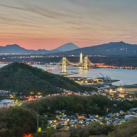 Ocean Cruises - Tokyo to Tokyo,  12 night cruise from R110 180 pps