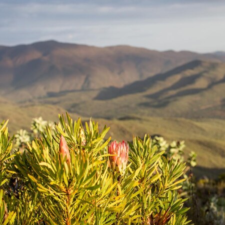 Amazing Karoo Beauty, 4 nights from R11 590 pps