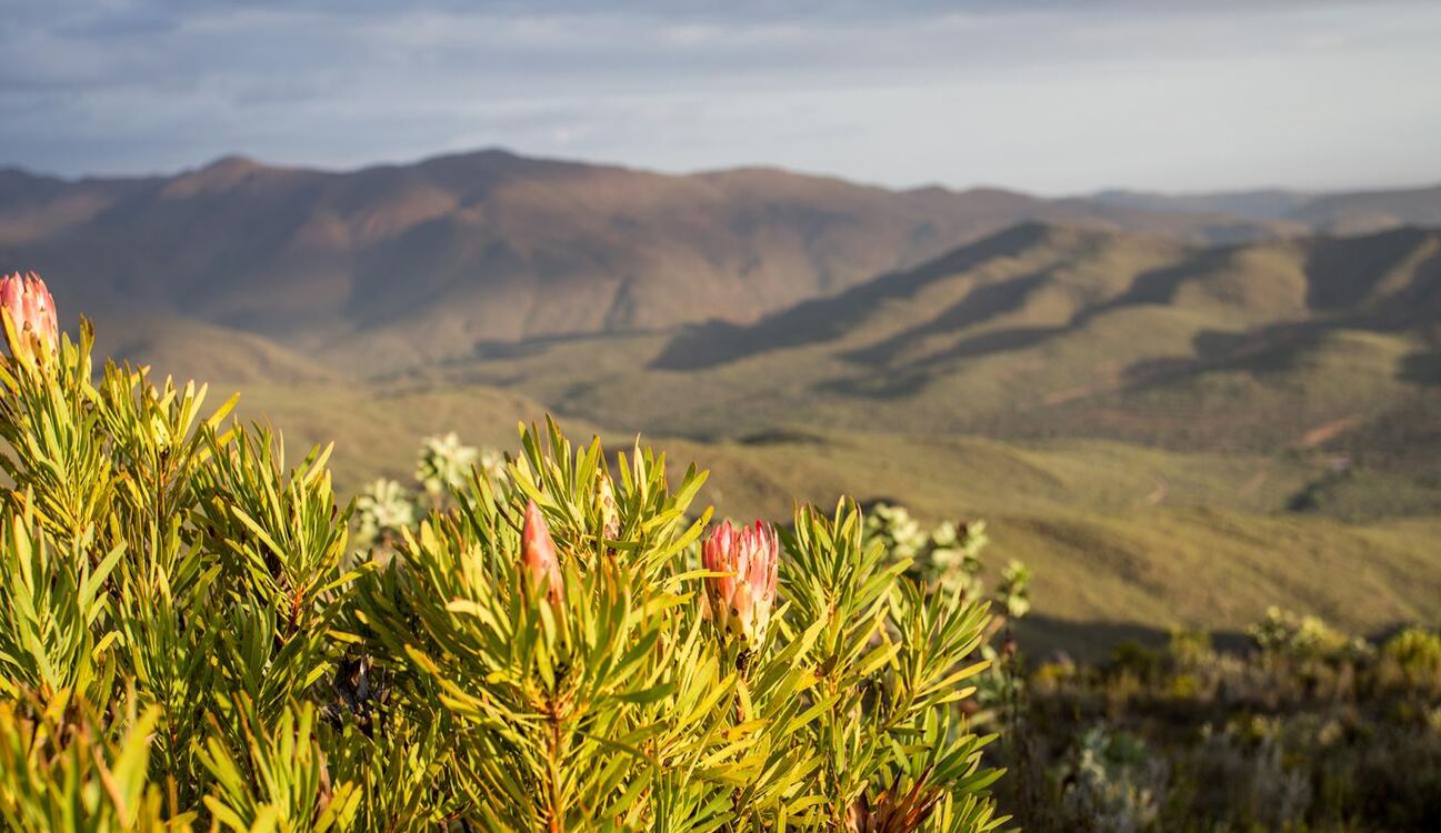 Amazing Karoo Beauty, 4 nights from R11 750 pps