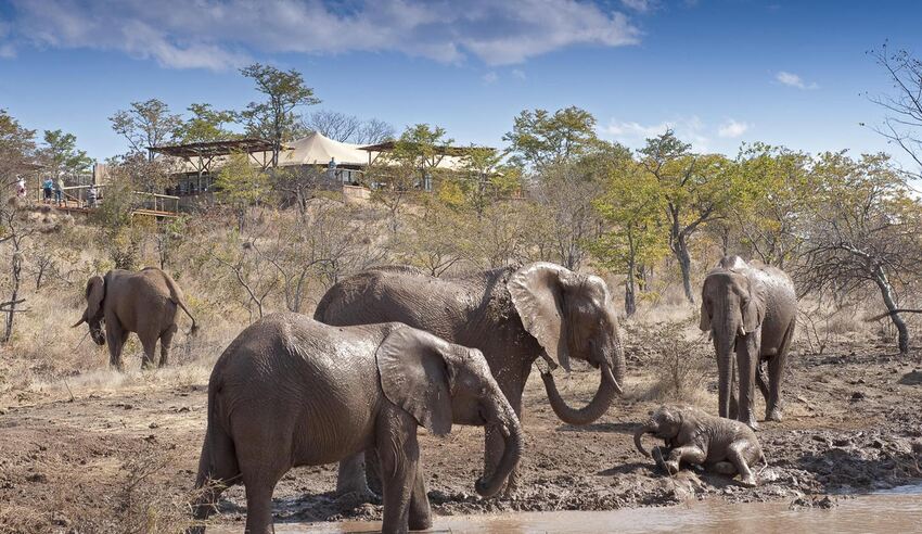 The Elephant Camp, 3 nights from R27 250 pps