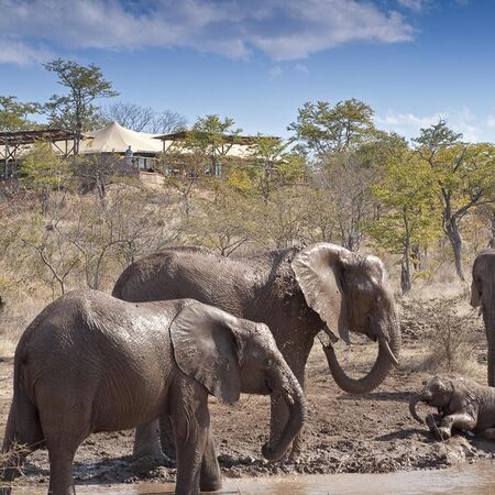 The Elephant Camp, 3 nights from R20 410 pps