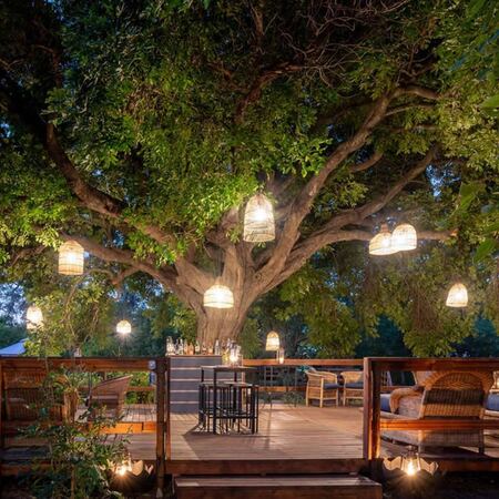 Kruger Untamed - Satara Plains Camp, 2 nights from R8 000 pps