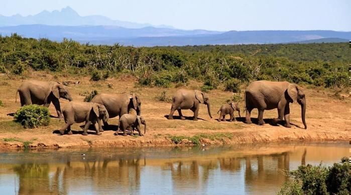 Malindi Beach & Tsavo Bush - Kenya Combo (7 Nights)