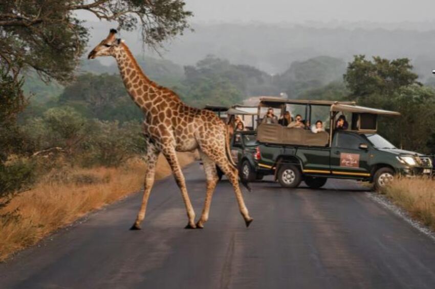 4* Kruger Gate Hotel - Kruger National Park Family Package (3 Nights)