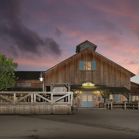 Paris and Disney's Davy Crockett Ranch Experience - France Package (4 Nights)