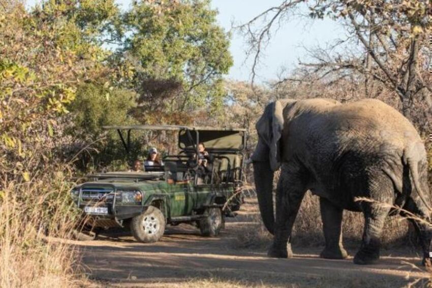 4* Mabula Game Lodge - Waterberg Package (2 Nights)