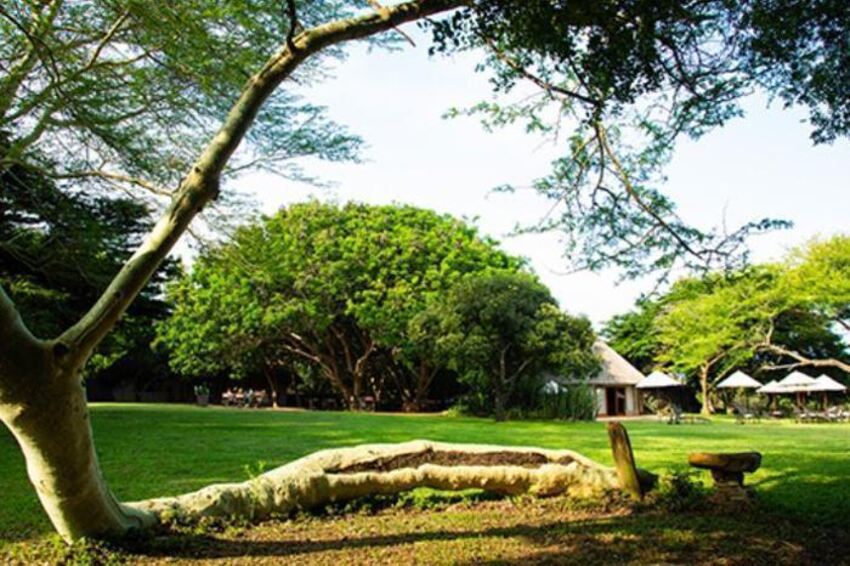 4* Falaza Game Park & Spa - Hluhluwe Package (2 Nights)