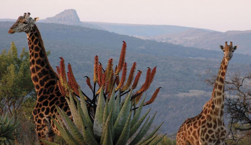 Fugitives Drift Lodge, 2 nights from R9 000 pps - self drive