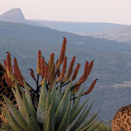 Fugitives Drift Lodge, 2 nights from R9 000 pps - self drive