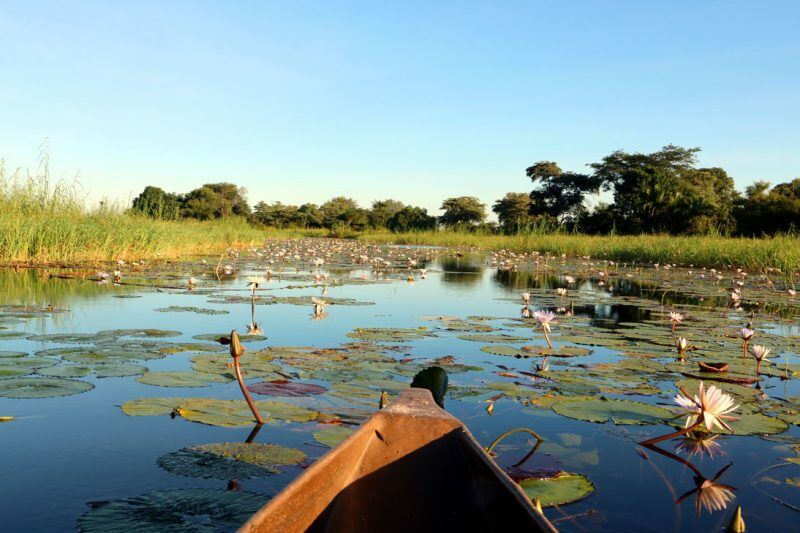 Best of Northern Namibian Adventure - SELF DRIVE