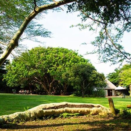 4* Falaza Game Park & Spa - Hluhluwe Fly-in Package (3 Nights)