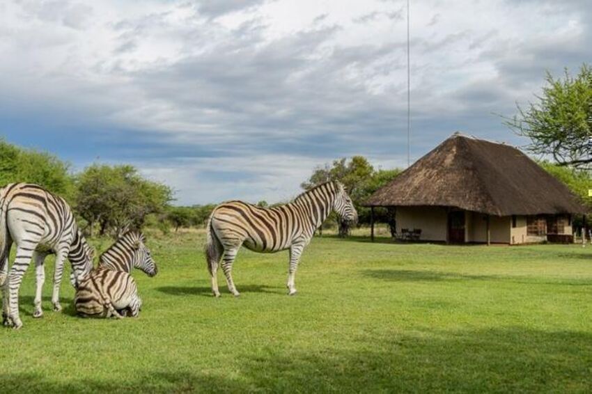 4* Mongena Private Game Lodge - Dinokeng Game Reserve Package (2 Nights)