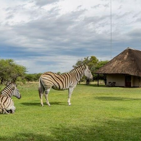 4* Mongena Private Game Lodge - Dinokeng Game Reserve Package (2 nights)