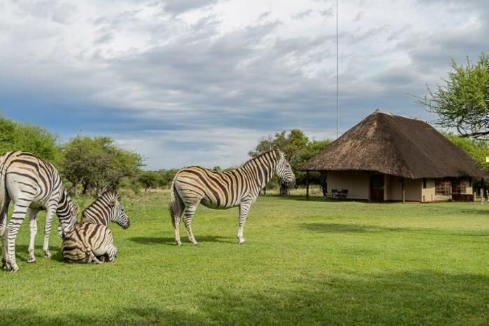 4* Mongena Private Game Lodge - Dinokeng Game Reserve Package (2 nights)