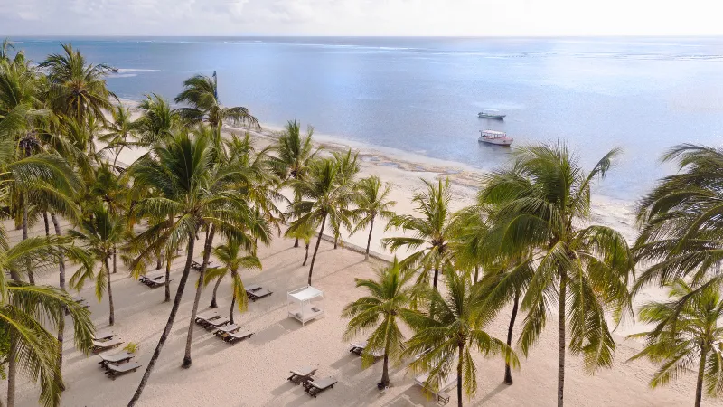 Bush and Beach Safari