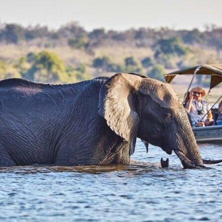 4 Nights Victoria Falls and Chobe Combo