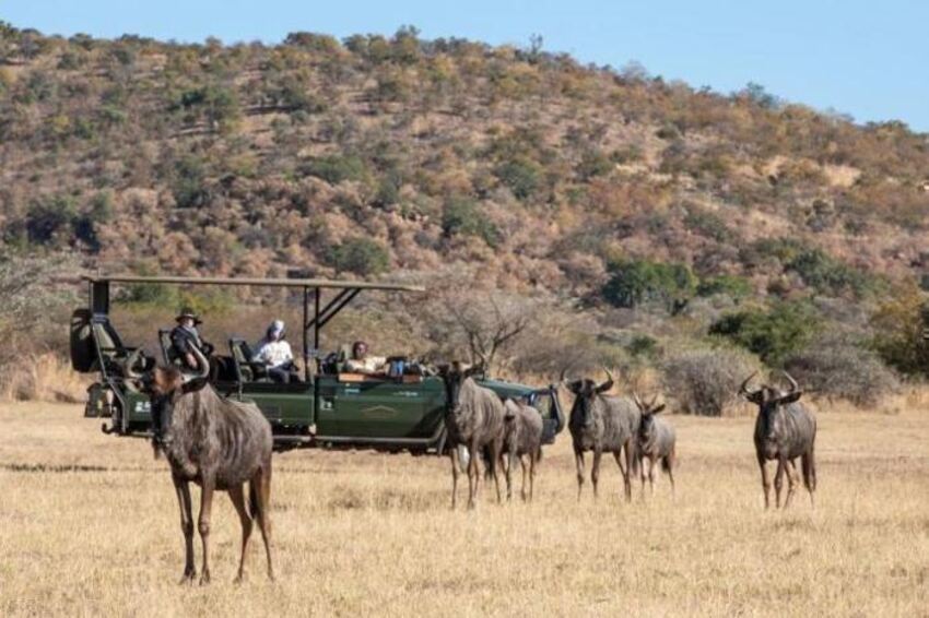 5* Safari Plains - Waterberg Package (2 Nights)