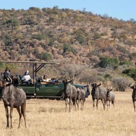 5* Safari Plains - Waterberg Package (2 Nights)