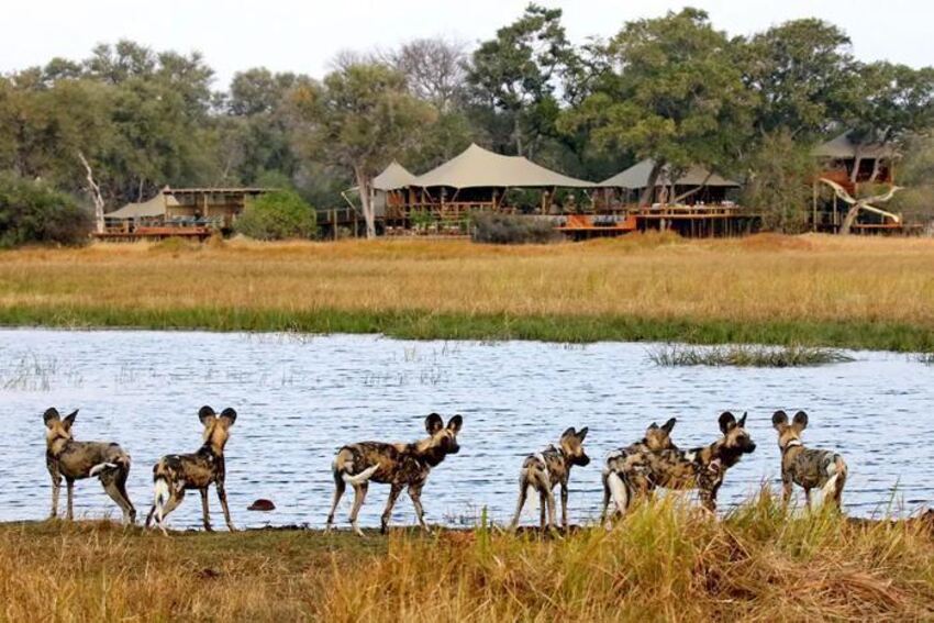5* Tuludi - Okavango Delta Package (3 Nights)