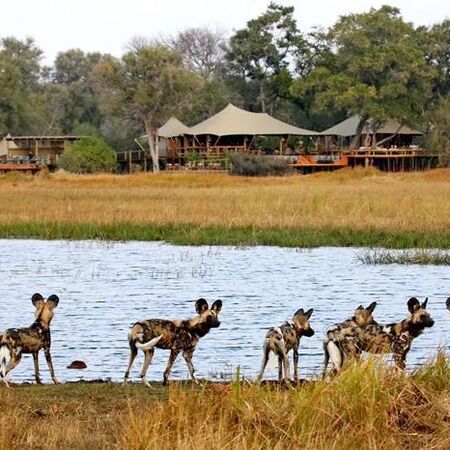 5* Tuludi - Okavango Delta Package (3 Nights)