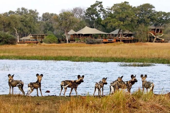 5* Tuludi - Okavango Delta Package (3 Nights)