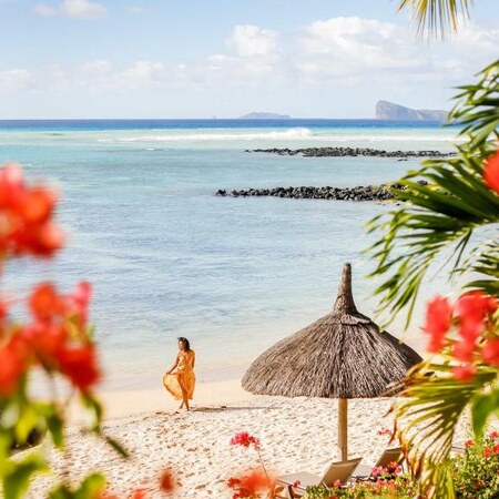 HONEYMOON - BEACHCOMBER - CANONNIER