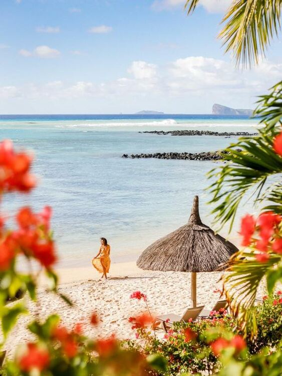 HONEYMOON - BEACHCOMBER - CANONNIER