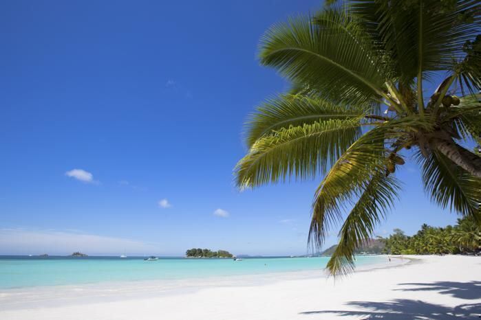 4* Paradise Sun Hotel - Seychelles Package ( 7 Nights)