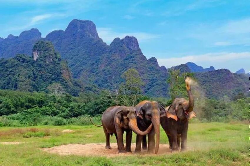 Phuket, Elephant Hills & Khao Lak - Thailand Package (8 Nights)