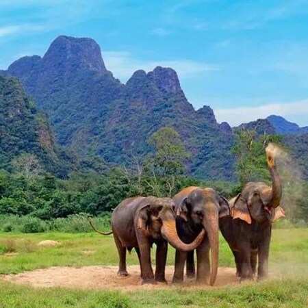 Phuket, Elephant Hills & Khao Lak - Thailand Package (8 Nights)