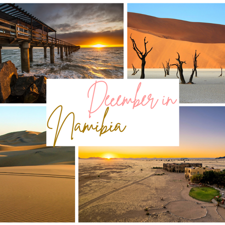 December in Namibia - 8 Nights  