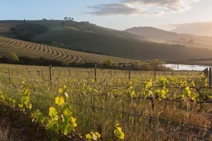 4* Jordan Wine Estate - Stellenbosch Package (2 Nights)