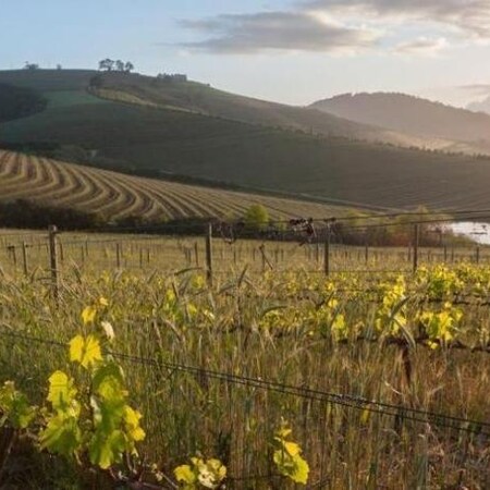 4* Jordan Wine Estate - Stellenbosch Package (2 Nights)