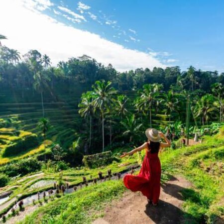 4* Benoa, Ubud & Sanur Holiday Bliss - Bali Package (9 Nights)