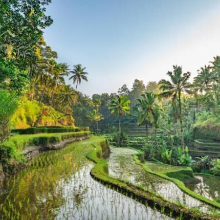 Ubud, Gili Trawangan & Seminyak Holiday - Bali Package (8 Nights)