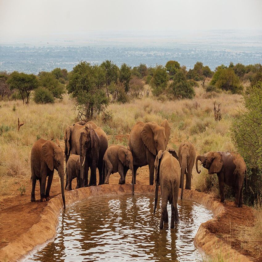 Elephant Gorge Camp - Amoseli, 2 nights from R39 830 pps