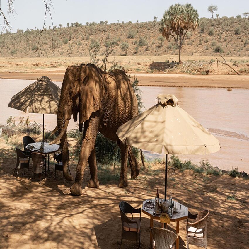 Elephant Bedroom Camp - Samburu National Reserve, 2 nights from R40 880 pps