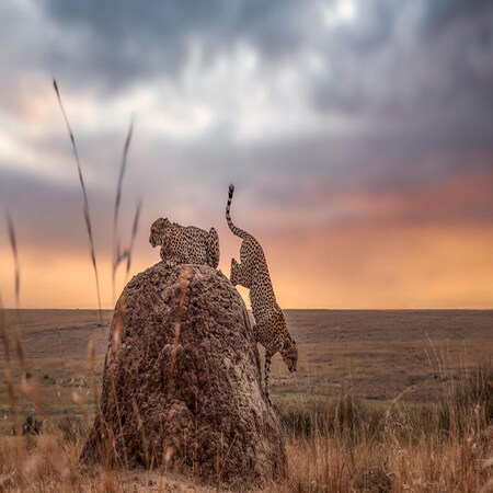 Sand River Mara Camp - Maasai Mara, 2 nights from R61 040 pps