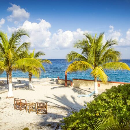 Royal Caribbean - Western Caribbean, 7 night cruise from R37 550 pps