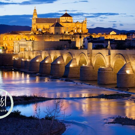 Spain & Portugal 8D7N Muslim-Friendly Tour (Madrid, Toledo, Elvas, Lisbon, Seville, Écija, Córdoba, Granada)