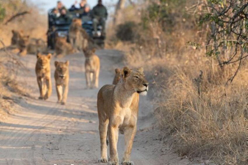 aha Skukuza Safari Lodge and Bahia Mar Boutique Hotel - Bush to Beach Combo (6 Nights)