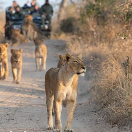 aha Skukuza Safari Lodge and Bahia Mar Boutique Hotel - Bush to Beach Combo (6 Nights)