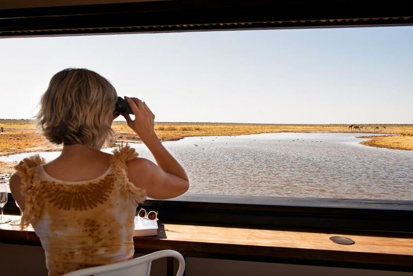 Exploring Etosha